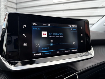 Image véhicule  Peugeot 2008 (15)