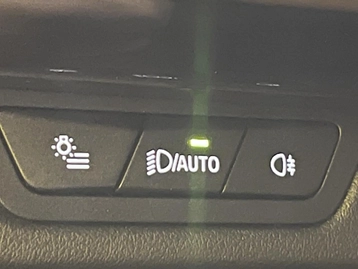 Image véhicule  BMW X1 (16)