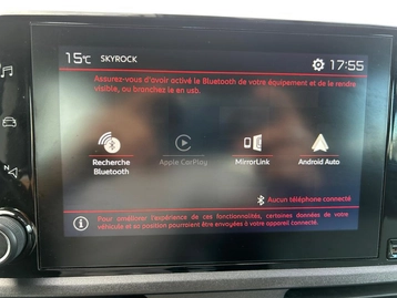 Image véhicule  Citroën BERLINGO (31)