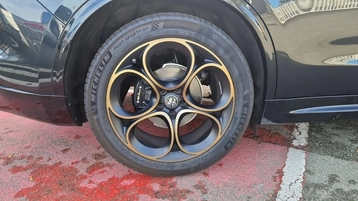 Image véhicule  Alfa Romeo STELVIO (25)