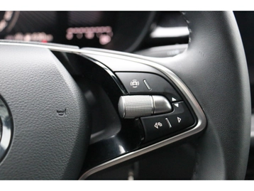 Image véhicule  Skoda FABIA (21)