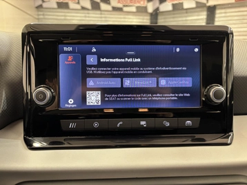 Image véhicule  Seat IBIZA (14)