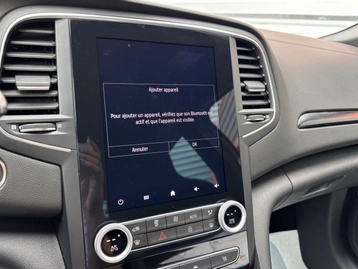 Image véhicule  Renault MEGANE (17)
