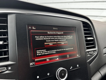 Image véhicule  Renault MEGANE ESTATE (18)