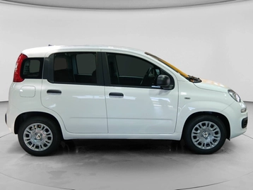 Image véhicule  Fiat PANDINA (18)