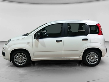 Image véhicule  Fiat PANDINA (19)