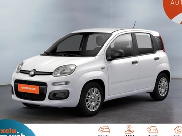 Image véhicule  Fiat PANDINA (5)
