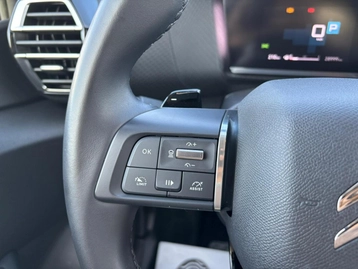 Image véhicule  Citroën C4 (33)