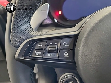 Image véhicule  Alfa Romeo TONALE (4)