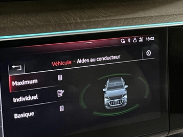 Image véhicule  Audi E-TRON (59)