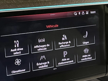 Image véhicule  Audi E-TRON (53)