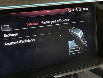 Image véhicule  Audi E-TRON (56)