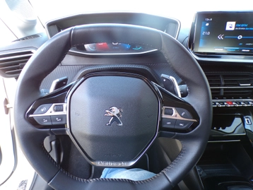 Image véhicule  Peugeot 208 (11)