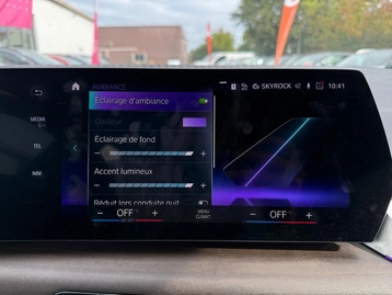 Image véhicule  BMW SÉRIE 2 ACTIVE TOURER (28)