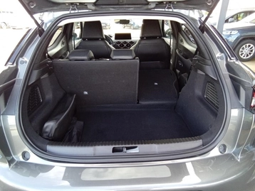Image véhicule  DS DS3 CROSSBACK (17)