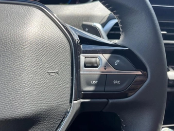 Image véhicule  Peugeot 3008 (24)