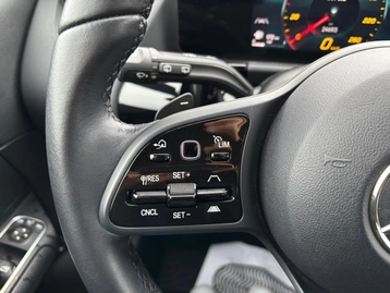 Image véhicule  Mercedes CLASSE B (42)