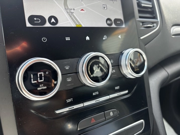 Image véhicule  Renault MEGANE (24)