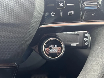 Image véhicule  Renault RAFALE (37)