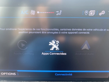 Image véhicule  Peugeot 208 (9)