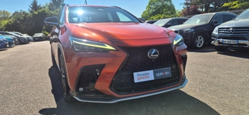 Image véhicule  Lexus NX (1)