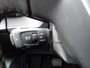 Image véhicule  Peugeot 2008 (19)