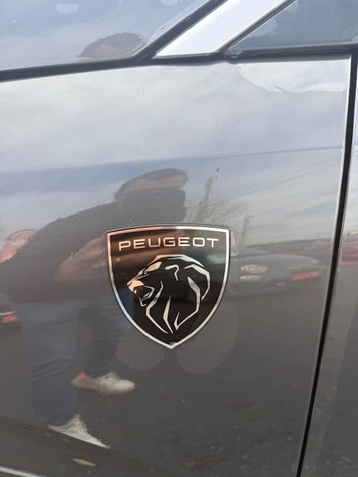 Image véhicule  Peugeot 3008 (16)