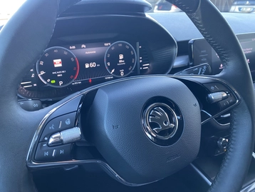 Image véhicule  Skoda FABIA (11)