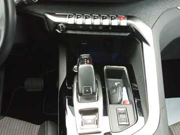 Image véhicule  Peugeot 3008 (52)