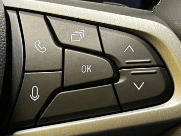 Image véhicule  Dacia BIGSTER (30)