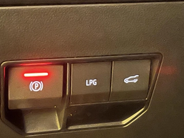 Image véhicule  Dacia BIGSTER (14)
