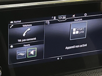 Image véhicule  Skoda SCALA (24)