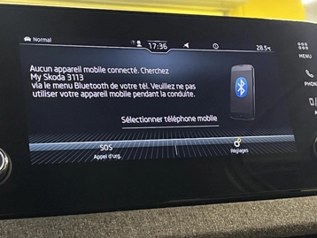 Image véhicule  Skoda SCALA (25)