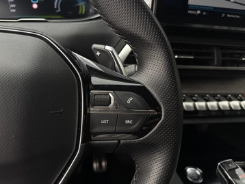 Image véhicule  Peugeot 3008 (12)