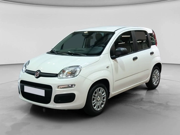 Image véhicule  Fiat PANDINA (1)