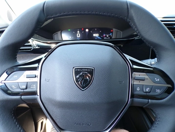Image véhicule  Peugeot 308 (19)