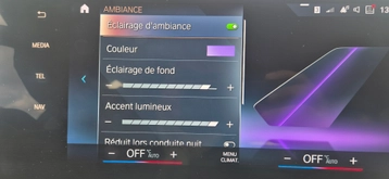 Image véhicule  BMW SÉRIE 2 ACTIVE TOURER (25)