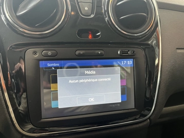 Image véhicule  Dacia LODGY (20)