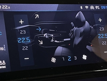 Image véhicule  Peugeot 308 (32)