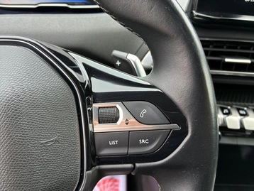 Image véhicule  Peugeot 3008 (15)