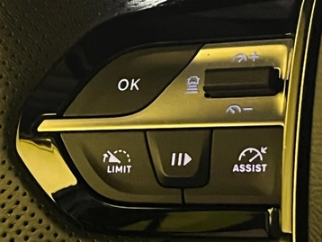 Image véhicule  Peugeot 308 SW (10)