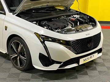 Image véhicule  Peugeot 308 SW (22)