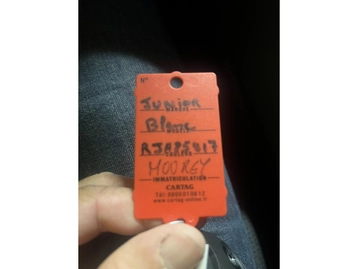 Image véhicule  Alfa Romeo JUNIOR (43)