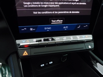 Image véhicule  Renault ESPACE VI (13)