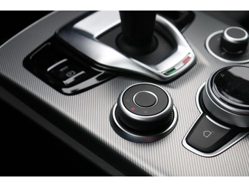 Image véhicule  Alfa Romeo STELVIO (25)