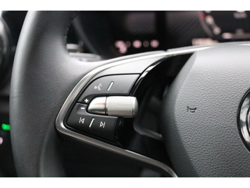 Image véhicule  Skoda FABIA (20)