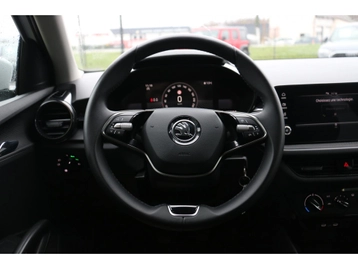 Image véhicule  Skoda FABIA (19)