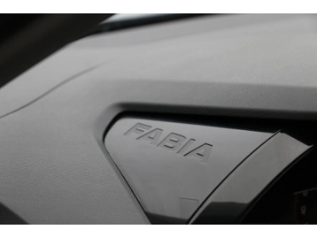 Image véhicule  Skoda FABIA (47)