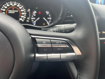 Image véhicule  Mazda MAZDA 3 (28)