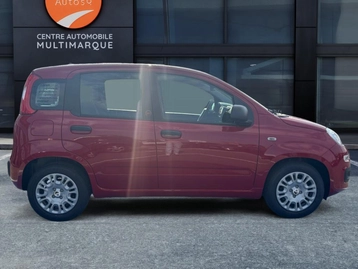 Image véhicule  Fiat Pandina (5)